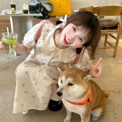 囧妈的极地任务 在线观看