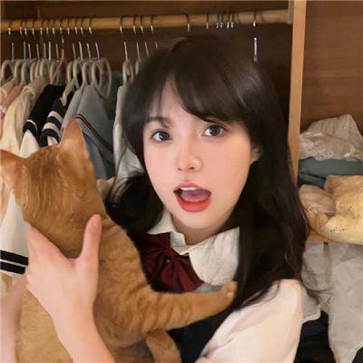 我爱驰星周 在线观看
